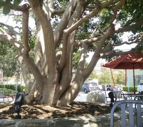 Peet's Coffee & Tea - Laguna Niguel, CA