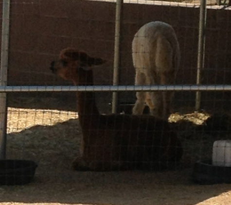 Heritage Park Zoological Sanctuary - Prescott, AZ