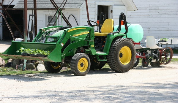 Theis Farm Market - Maple Park, IL