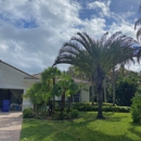 Four Brothers Tree Company, Inc. - Tree Service