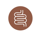 House of Berrong - Internet Products & Services