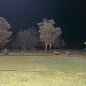 Gallery Image Number 4