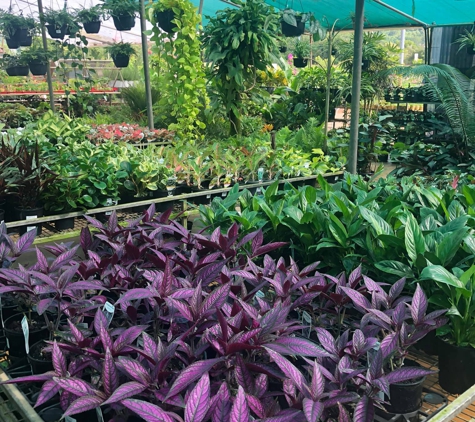 Rosemount Nursery - Rosemount, QLD