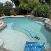 Polar Bear Pools gallery