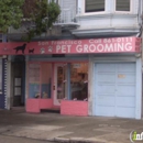 San Francisco Pet Grooming - Pet Grooming