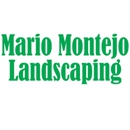 Mario Montejo Landscaping - Landscaping & Lawn Services