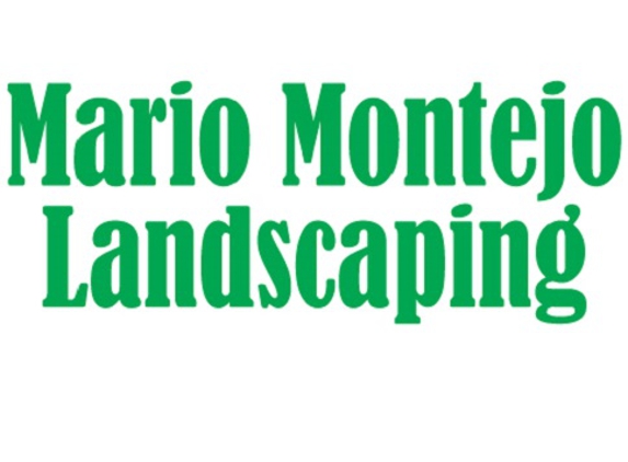 Mario Montejo Landscaping - Westmont, IL