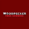 Woodpecker Tree Service gallery