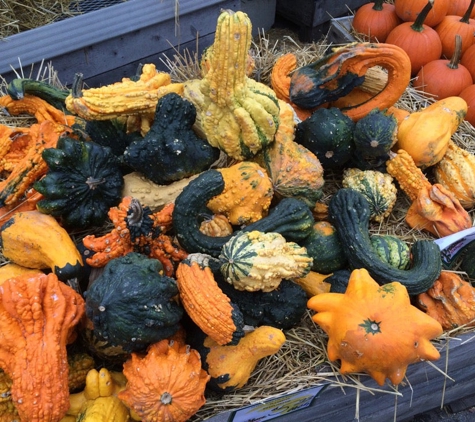 Produce Station - Ann Arbor, MI