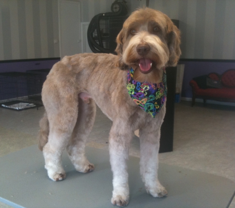 Royal Pets Grooming Spa - Hammond, LA