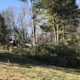 Tree Busters Tree Service