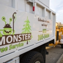 Monster Tree Service of North Dallas - Tree Service