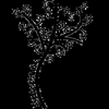 PeaceTree Counseling and Consulting gallery