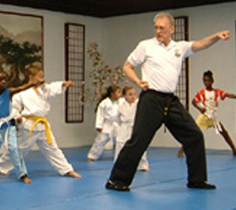 Master's Martial Arts & Fitness - Burton, MI