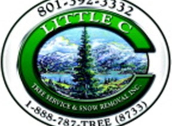 Little C Tree Service & Snow Removal - West Haven, UT