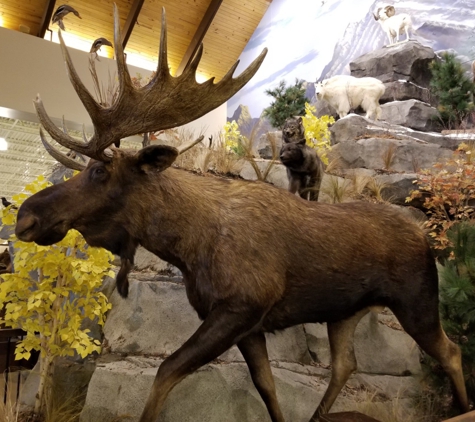 Cabela's - Centerville, OH