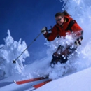 The Ski Pole - Ski Equipment & Snowboard Rentals