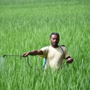 Homak Exterminating Company - Pest Control Equipment & Supplies