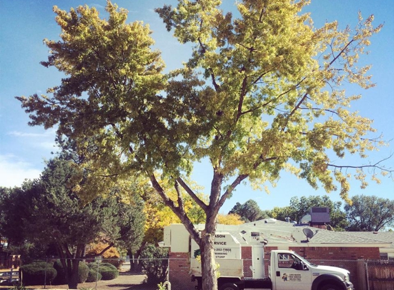 L M Tree Service - Rio Rancho, NM