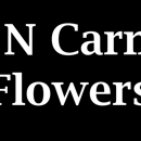 What N Carnation Flowers - Flowers, Plants & Trees-Silk, Dried, Etc.-Retail