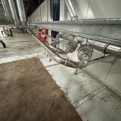 Gallery Image Number 4