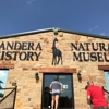 Bandera Natural History Museum gallery