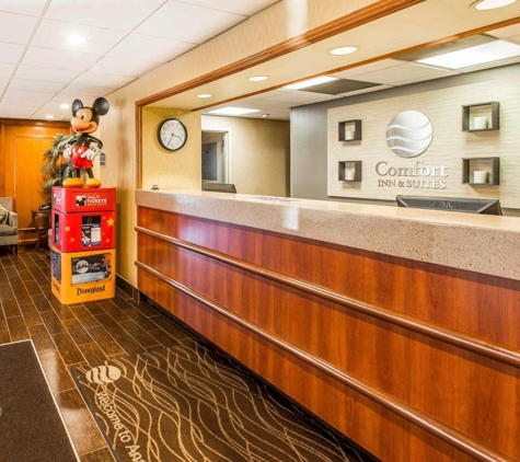 Comfort Inn Anaheim Resort - Anaheim, CA