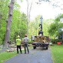 Advanced Tree Care - Arborists