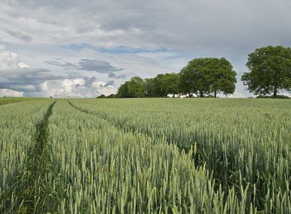 Eunice Crop Insurance Agency - Baxley, GA