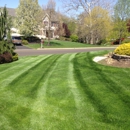 Lawn Barbers - Landscape Designers & Consultants