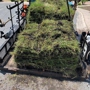 Council Growers Sod