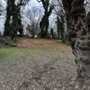 MACD Land Clearing