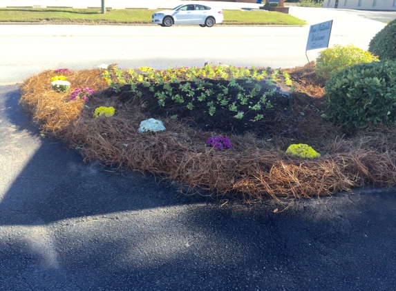 3in1 Landscape Management - Blythewood, SC