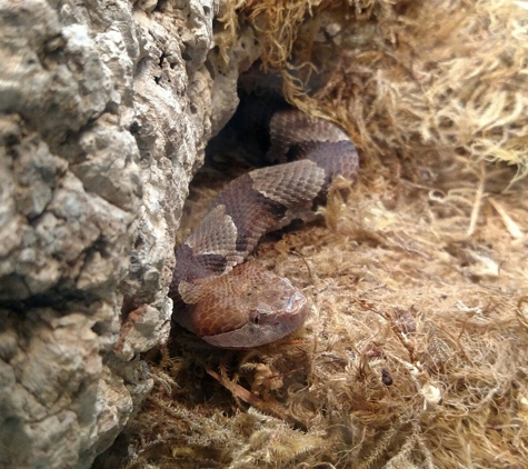 Wnc Nature Ctr - Asheville, NC