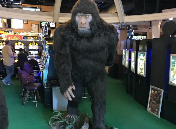 Sasquatch Casino - Black Hawk, CO