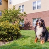 Homewood Suites by Hilton Rochester/Henrietta gallery