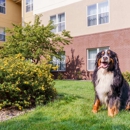 Homewood Suites by Hilton Rochester/Henrietta - Hotels