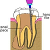 Fuller, Noel P, DDS gallery