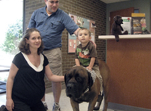 Kingdom Animal Hospital - Holland, MI