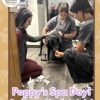 Associated Veterinary Medical Center gallery