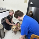 State College Veterinary Hospital - Hostels