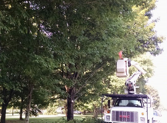 Marshall's Tree Service LLC - Hanceville, AL