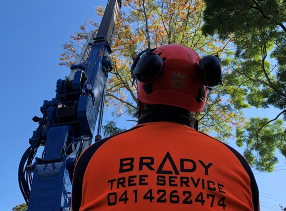 Brady Tree Service Pty Ltd