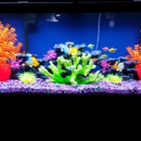 Aquarium Concepts - Aquariums & Aquarium Supplies