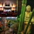 Mia's Bed & Breakfast - B&B - Bed & Breakfast Accommodation