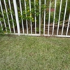 Palm Beach-Broward Landscaping gallery