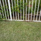 Palm Beach-Broward Landscaping