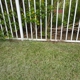 Palm Beach-Broward Landscaping