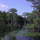 Caddo Lake State Park