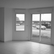 Gallery Image Number 6
